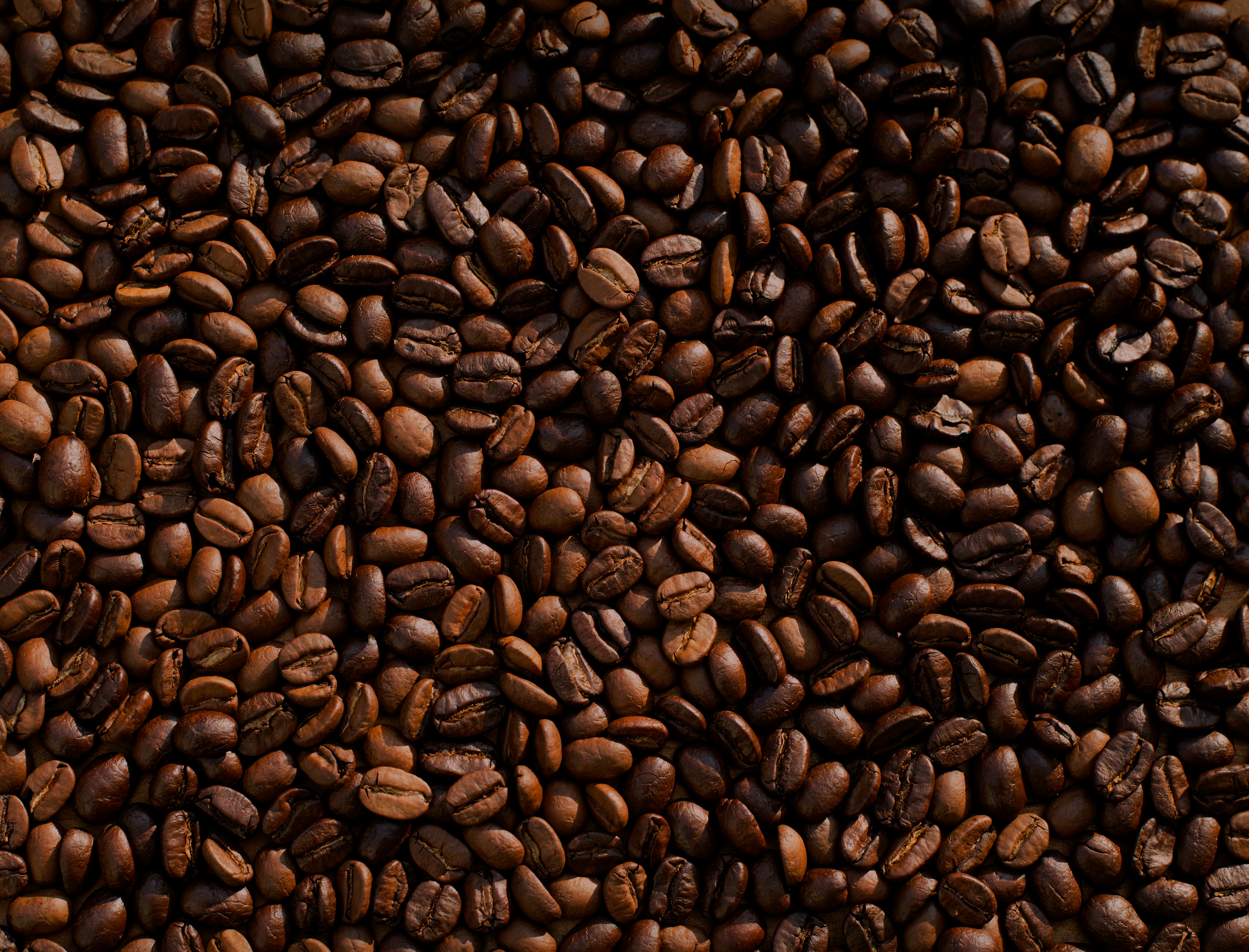 Stone Coffee beside Sandy Cove Sauna